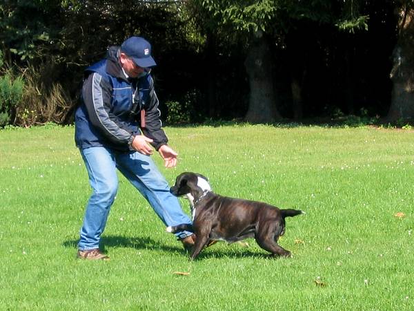 Milka m&ouml;chte ihre Best&auml;tigung