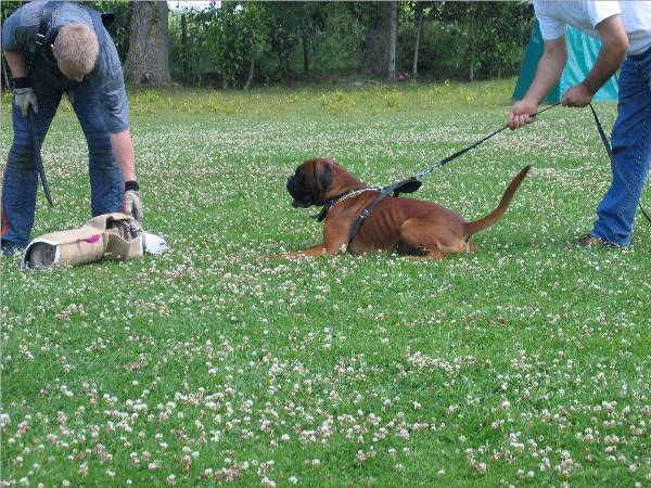 Nero beim Aufbau f&uuml;r die Schutzdienstarbeit