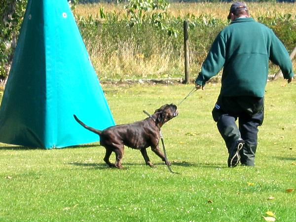 Ein kleines Spiel f&ouml;rdert die Beziehung