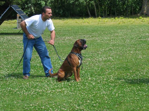 Nero beim Aufbau f&uuml;r die Schutzdienstarbeit