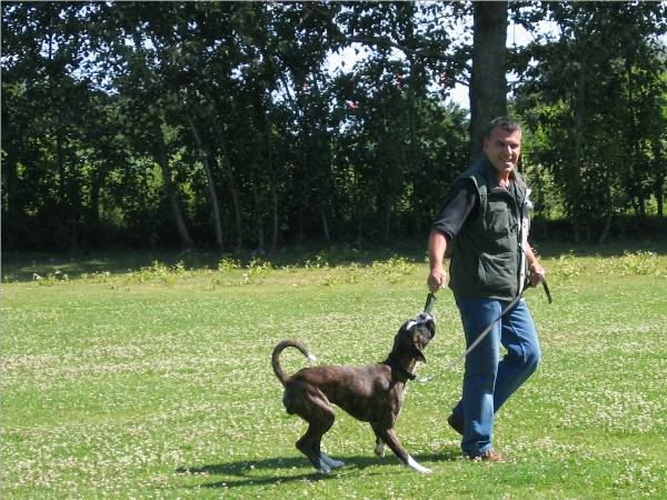 Wolfgang D&ouml;mges mit Pacino