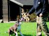 Kenia liebt Spielchen
