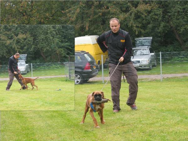 Hoss lernt den richtigen Umgang mit der Bei&szlig;wurst