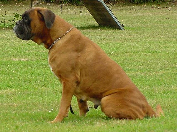 Odessa vom Schlunerberg