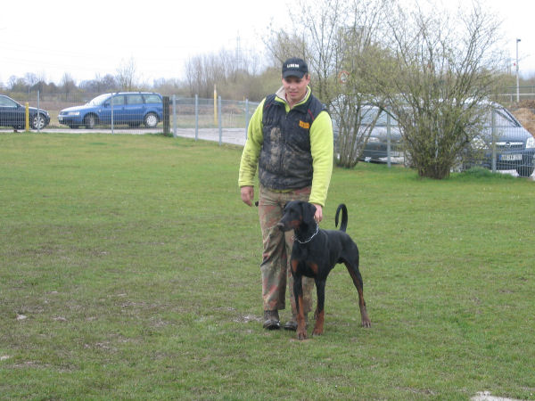 Peter Sternberg mit Dobermann Anton v. Leth in Stufe VPG 3