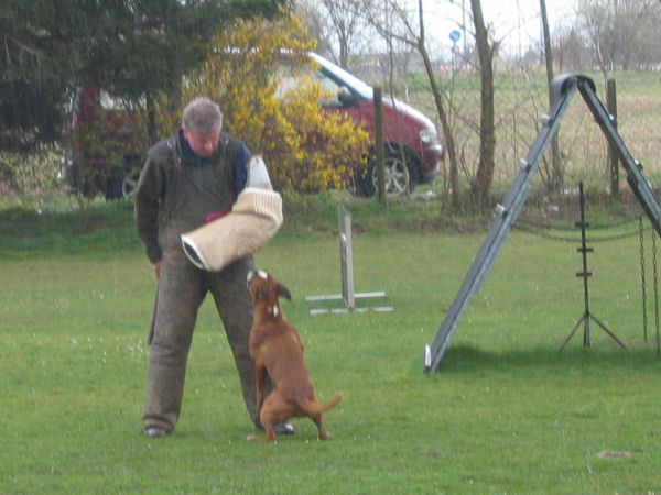 Figurant Josef Blatt in Abteilung C