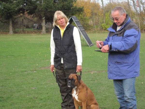Besprechung Unterordnung Max