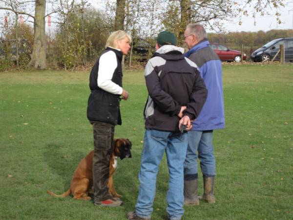 Sibille und Max Anmeldung Unterordnung
