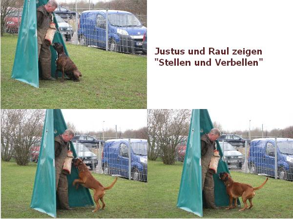 Justus und Raul beim Stellen und Verbellen