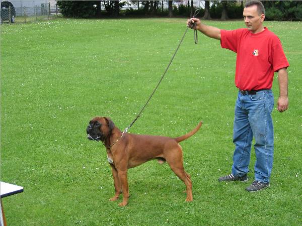 Nero - Formwertbesprechung