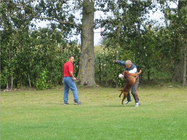 Nero - &Uuml;berfall (1)