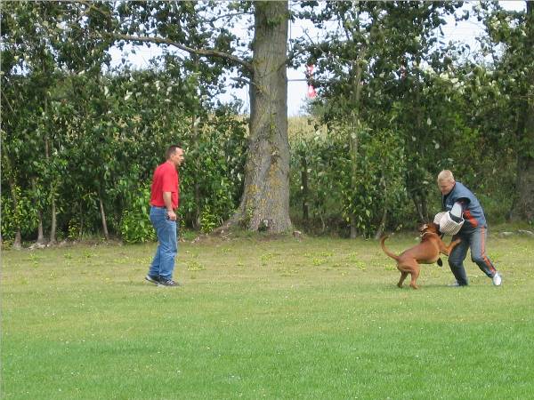 Nero - &Uuml;berfall (2)