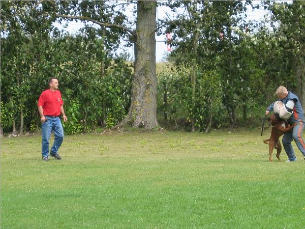 Nero - &Uuml;berfall (3)