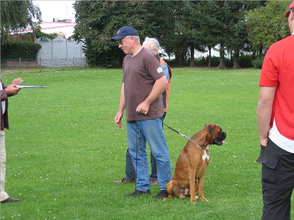 Quirell - Besprechung Schutzdienst