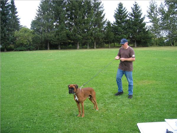 Quirell - Formwertbesprechung (1)