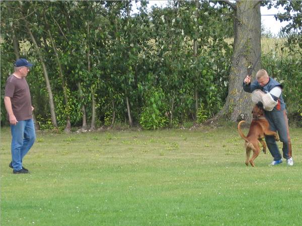 Quirell - &Uuml;berfall