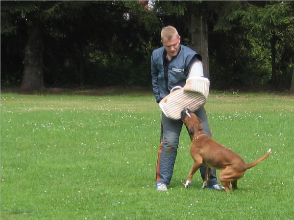 Wen-Qi - lange Flucht letzte Phase