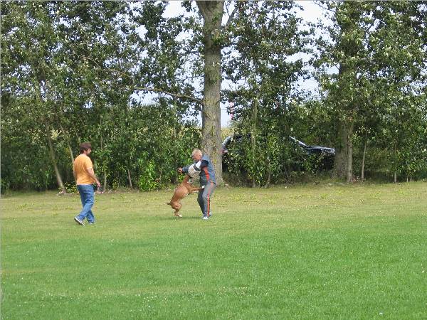 Wen-Qi - &Uuml;berfall (2)