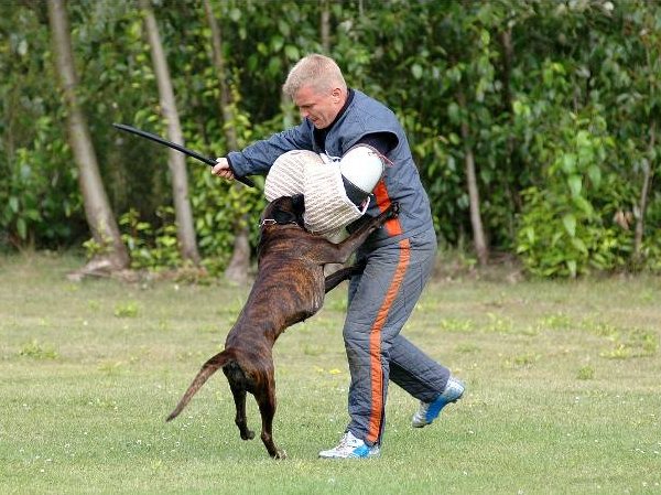 Mara Schutzdienst (2)