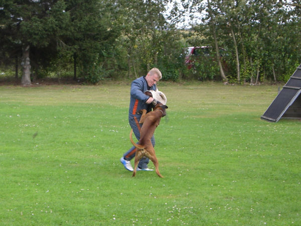 Quirell bei der Belastungsprobe