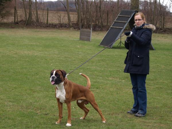 Titus und Bianca